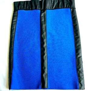 Elegant Blue and Black Women's Skirt